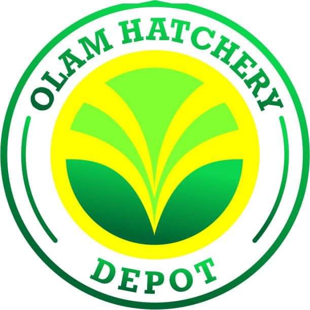 Olam Hatchery