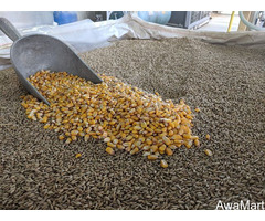 Olam feed mill - Image 1