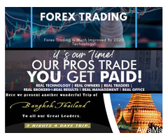 Join Our Forex Trading Today to Increase Your Income 