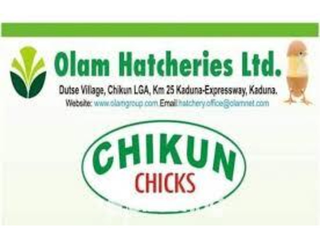 Olam Feed Mill and Hatcheries (Chikun and Ultima Feed) - 3