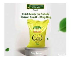 Olam Feed Mill and Hatcheries (Chikun and Ultima Feed) - Image 4