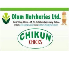 Olam Nigeria Chikun and Ultima Feed
