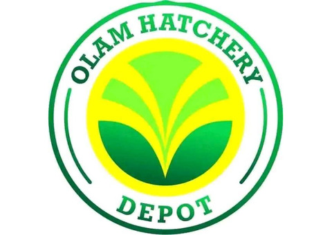 Olam Feed and Hatchery Mills