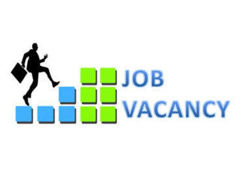 JOB OFFER - Experienced Sales Executive and Telemarketer (CALL - 08139162874)