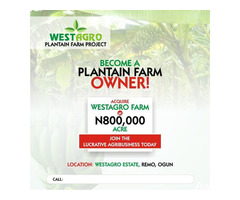 Invest in Plantain Farm and Get return on Investment every 6 months 