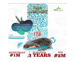 Invest and Earn 100% of your Investments For 3 Years, from Our Fish Farm