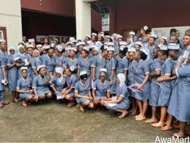 Ondo state school of nursing, akure 2023/2024 session admission forms are on sales.call admin. - 1