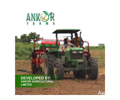 Farmland Investment @N120k Per Plot