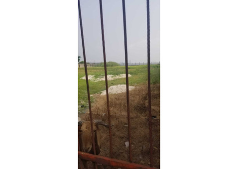 LEKKI WATERFRONT LAND FOR SALE (Call or WhatsApp - 08077734355)
