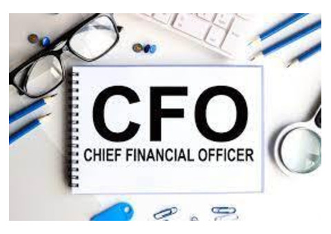 DO YOU NEED A PART-TIME CHIEF FINANCIAL OFFICER ? (Call - 08138081737)