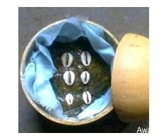 The Best Powerful Traditional Herbalist in Nigeria+2348165837162