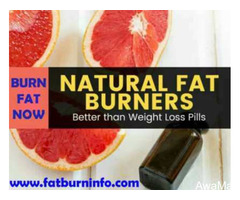 Top Rated Natural Fat Burners - Image 2