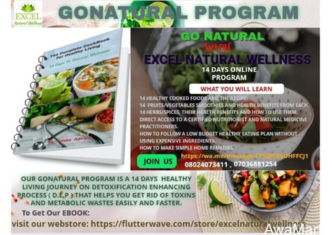 Go Natural With Excel Natural Wellness - Join Our 14 days Online Program