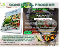 Go Natural With Excel Natural Wellness - Join Our 14 days Online Program