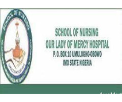 School of Nursing Umulogho, Obowu  2021/2022 Admission form is out