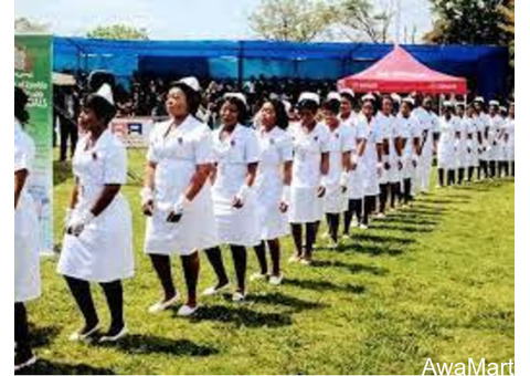 School of Post Basic Nursing in Paediatric, Lagos University Teaching Hospital 2021/2022