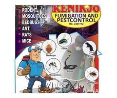 We offer Fumigating Service at Kenikjo Fumigation and Pest Control