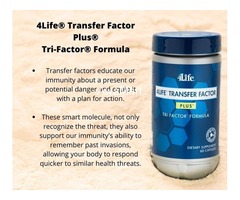 Get 4LIFE Transfer Factor Plus Immune Booster (number one immune systems products) - Image 2