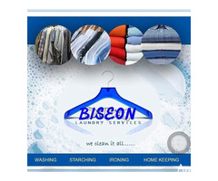 We Offer Cleaning Services (Drycleaning, House Cleaning, Industrial Cleaning etc) - Image 3