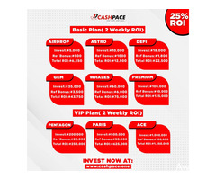 Cashpace investment - Image 2