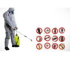 Daily janitorial service, Post construction services, Fumigation & Pest Control