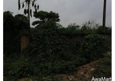 4 Plots of Land For Sale (2428sqm) at Magodo Phase 1
