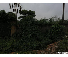 4 Plots of Land For Sale (2428sqm) at Magodo Phase 1