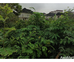 4 Plots of Land For Sale (2428sqm) at Magodo Phase 1