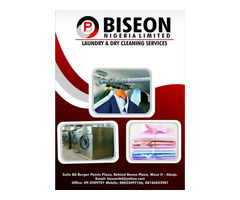 We Offer all Kinds of Cleaning Services at Biseon Nig Ltd