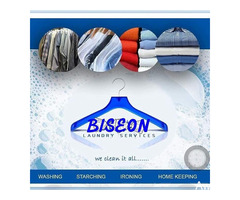 We Offer all Kinds of Cleaning Services at Biseon Nig Ltd - Image 2