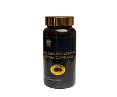 Norland Herbal Capsules: Hypoglycemic Herbal capsules
