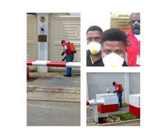 Fumigation And Cleaning Services