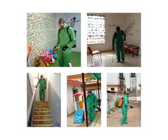 Fumigation And Cleaning Services - Image 2