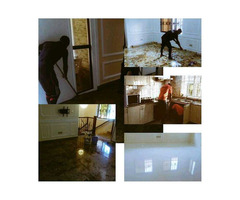 Fumigation And Cleaning Services - Image 3
