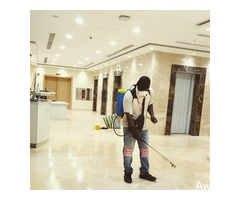 Fumigation And Cleaning Services - Image 4
