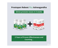 Prostopan Reboot PLUS Ashwagandha DS for PROSTATE WELLNESS