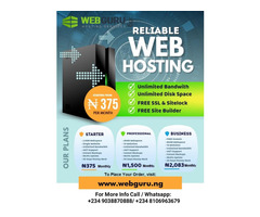 Web Hosting  - Image 5