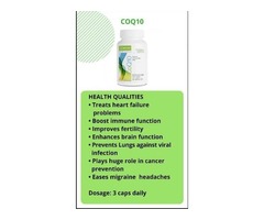Neolife COQ 10 - Prevents lungs against Viral infection, Treats heart failure problems and more  - Image 2
