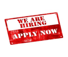 APPLY NOW - Leasing Agents Urgently Needed at NifRealty Limited