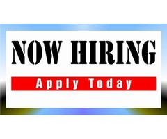 JOB VACANCY - Leasing Agents Urgently Needed at NifRealty Limited