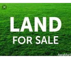 Land For Sale - 1,000m2 in an estate by Compass Newspapers, Lagos-Ibadan expressway