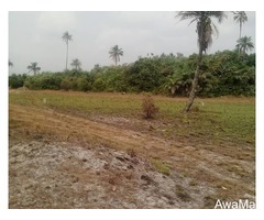 Plots of Land at Ibeju-Lekki With Very Good Features - Image 2