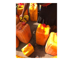 Palm Oil For Sale ( over 25 litres 100 kegs) Call - 08108705627 - Image 1