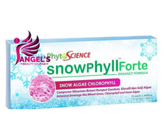 Snowphyll - Best aid in Gastrointestinal Problems