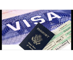 Book Flight, Book Hotel, Visa Appointment and more at virgosprint.com