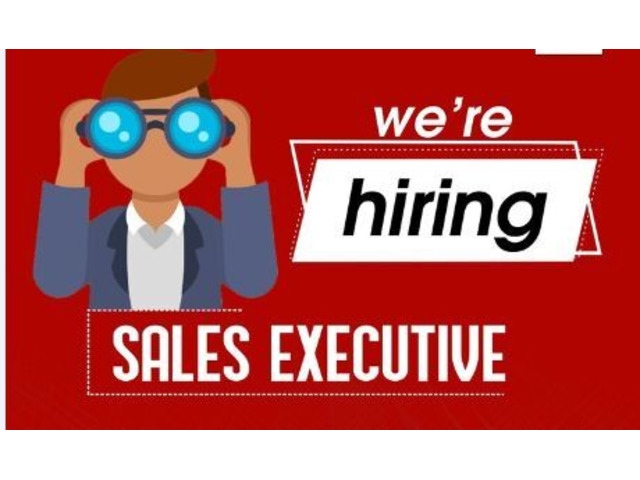 Sales Executive Needed in a Real Estate firm - 1