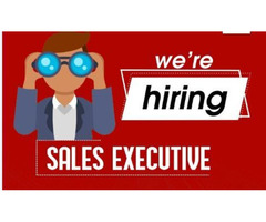 Sales Executive Needed in a Real Estate firm
